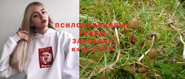 не бодяженный Надым