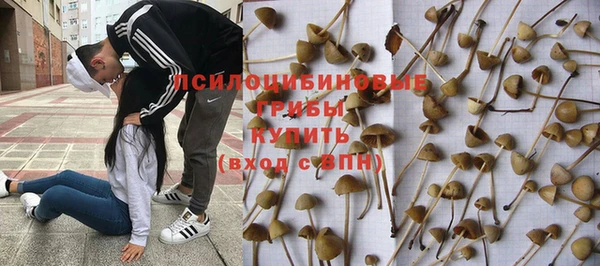 не бодяженный Надым