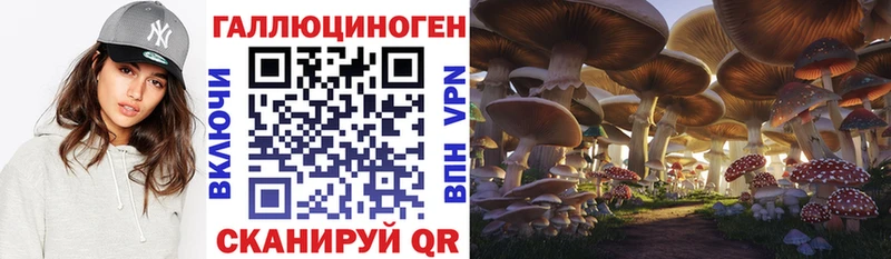 где найти наркотики  Остров  Псилоцибиновые грибы GOLDEN TEACHER 